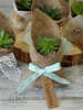 Μπομπονιέρες γλαστράκια για γάμο ή βάπτιση, από ποικιλίες παχύφυτων, με λινάτσα & φιόγκο από δαντέλα