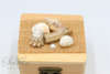 Μπομπονιέρα γάμου ξύλινο τετράγωνο κουτάκι με επένδυση από λινάτσα και διακοσμημένο με κοχύλια