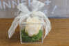 Μπομπονιέρα γάμου plexiglass τετράγωνο κουτάκι, με σαπουνάκι σε σχήμα τριαντάφυλλου