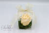 Μπομπονιέρα γάμου plexiglass τετράγωνο κουτάκι, με σαπουνάκι σε σχήμα τριαντάφυλλου
