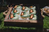 Εικόνα με Διακόσμηση & candy bar ζωάκια του δάσους