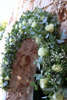 Εικόνα με Γιρλάντα λουλουδιών με τριαντάφυλλα