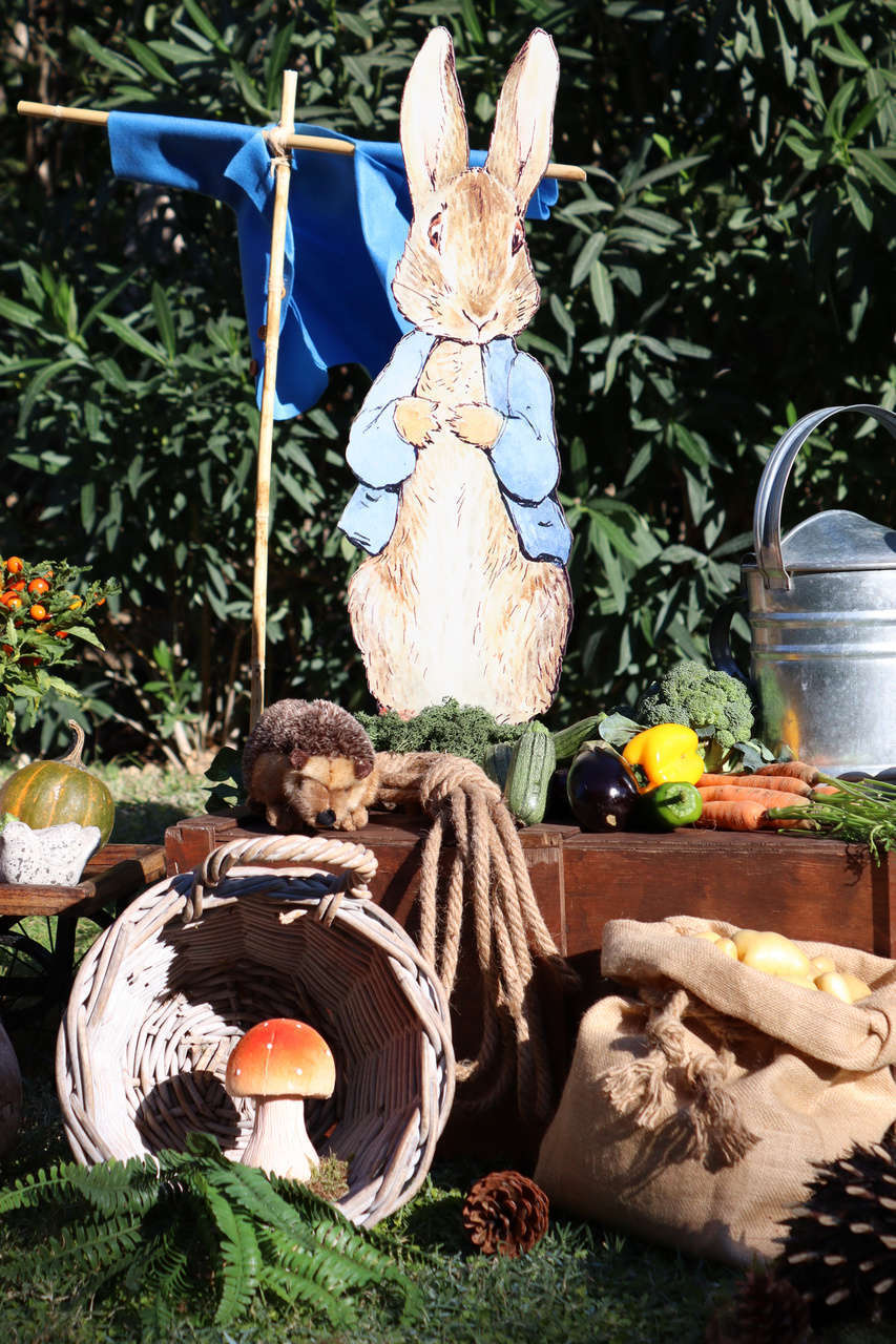 στολισμός βάπτισης με θέμα Peter rabbit λαγό, βάπτιση, βαφτίσια ...