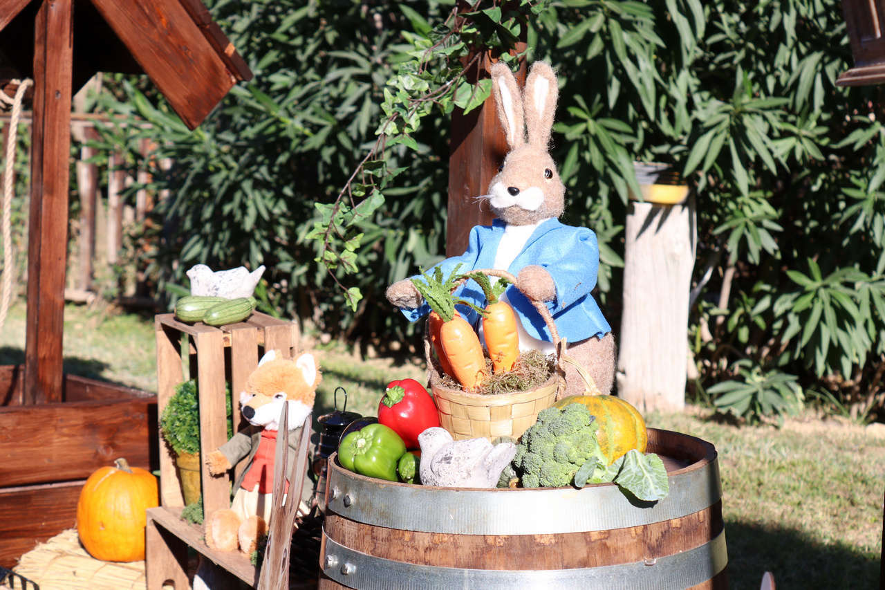 στολισμός βάπτισης με θέμα Peter rabbit λαγό, βάπτιση, βαφτίσια ...
