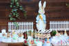 Εικόνα με Διακόσμηση & candy bar Peter rabbit