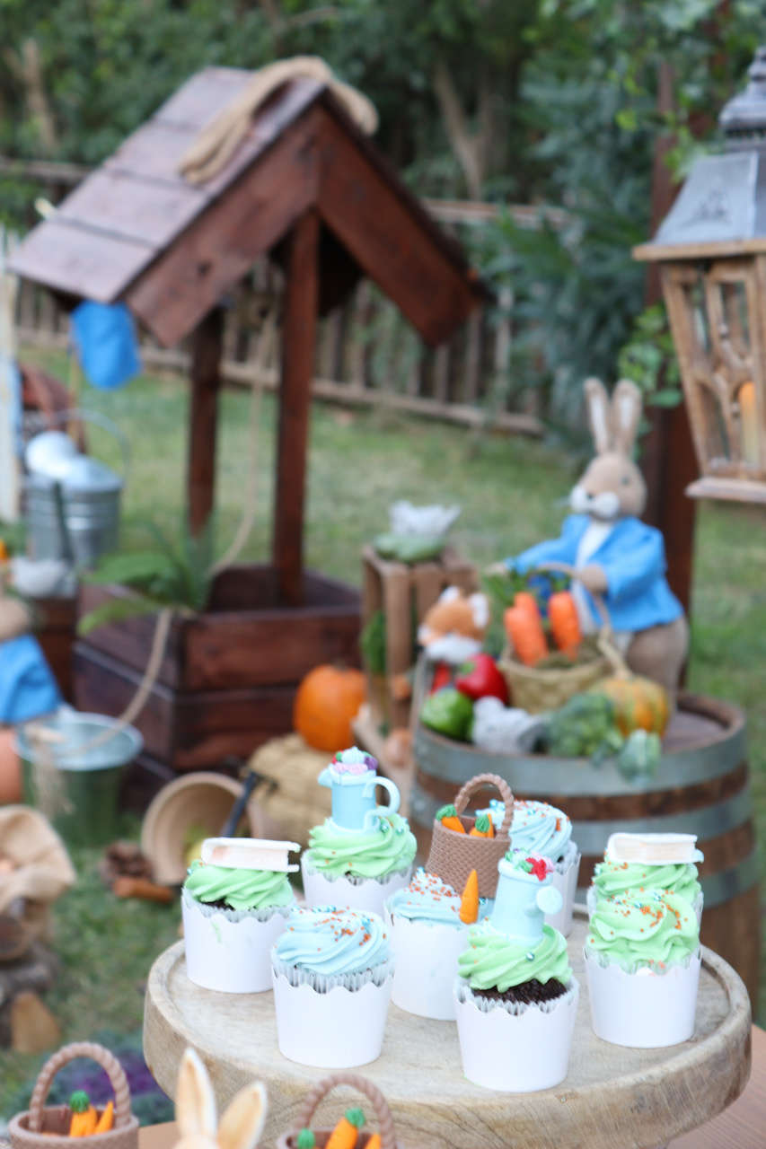 στολισμός βάπτισης με θέμα Peter rabbit λαγό, βάπτιση, βαφτίσια ...