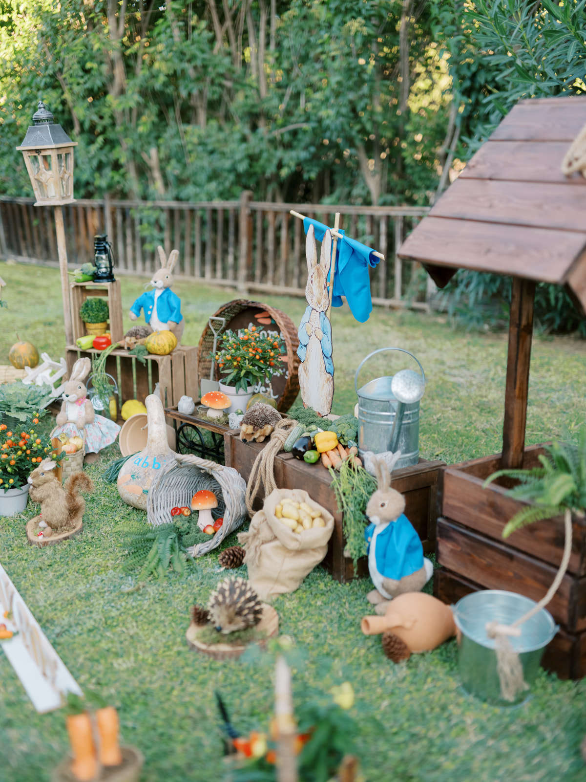 στολισμός βάπτισης με θέμα Peter rabbit λαγό, βάπτιση, βαφτίσια ...