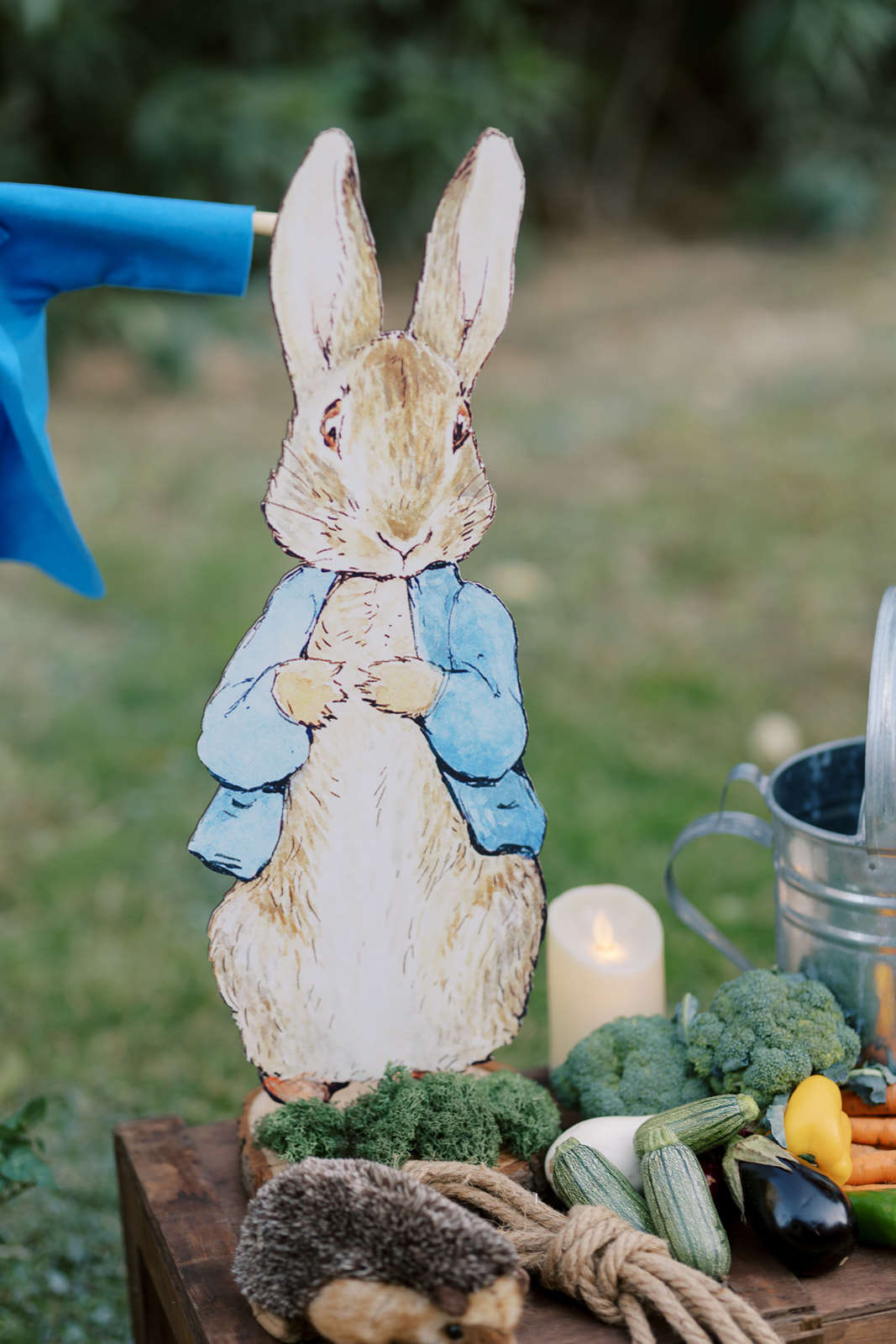 στολισμός βάπτισης με θέμα Peter rabbit λαγό, βάπτιση, βαφτίσια ...