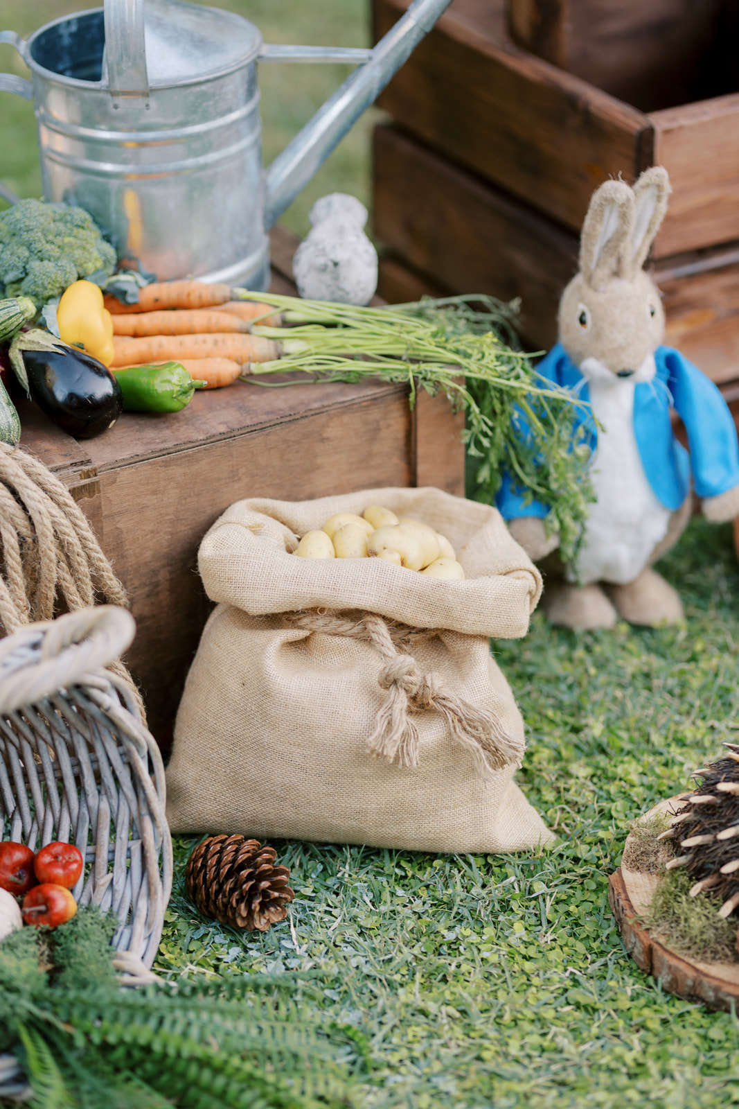 στολισμός βάπτισης με θέμα Peter rabbit λαγό, βάπτιση, βαφτίσια ...