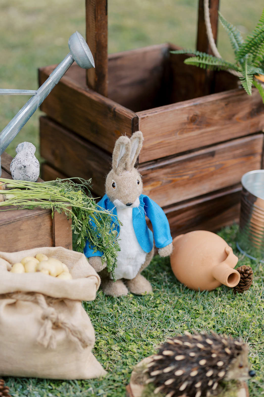 στολισμός βάπτισης με θέμα Peter rabbit λαγό, βάπτιση, βαφτίσια ...