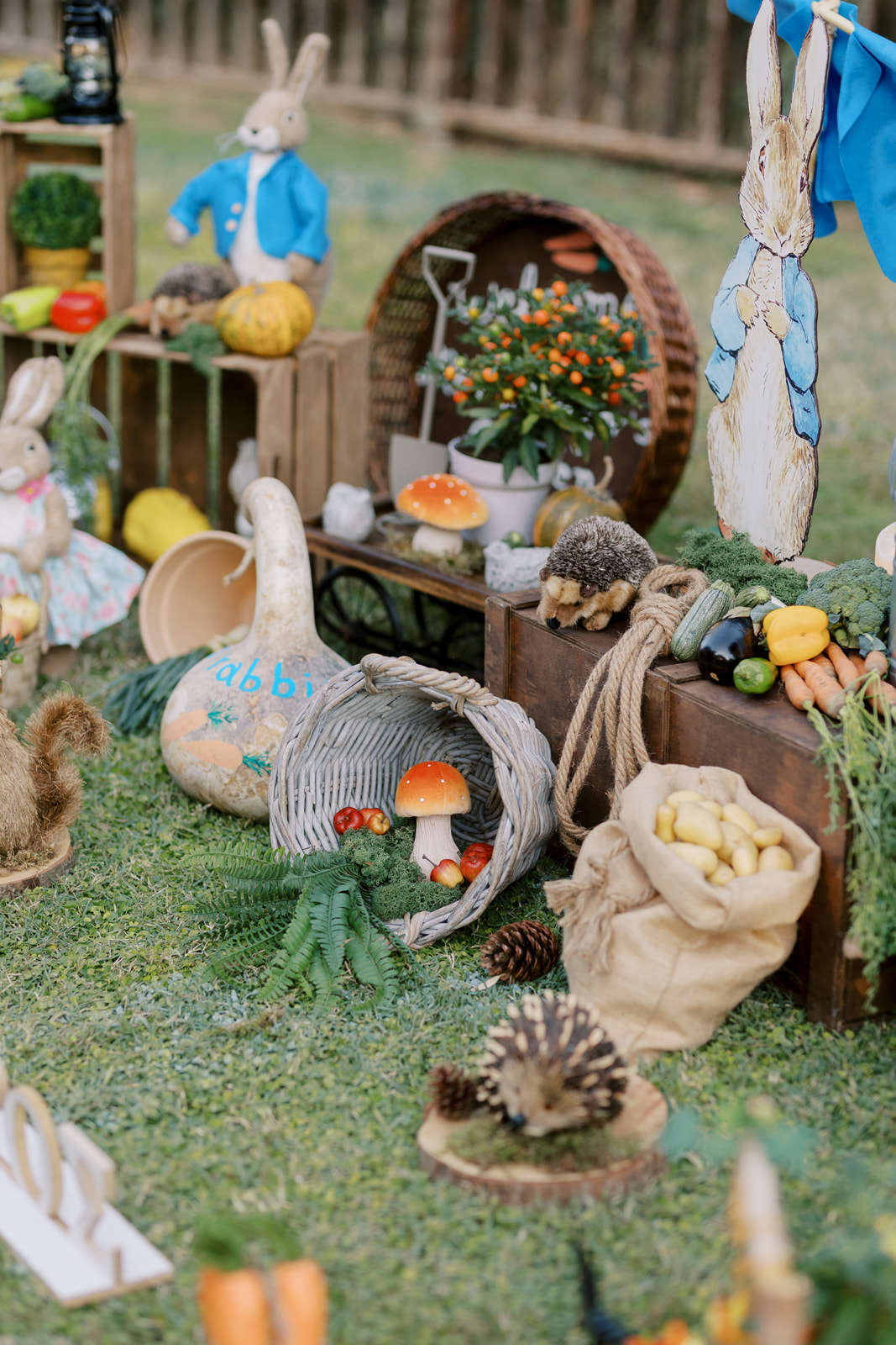 στολισμός βάπτισης με θέμα Peter rabbit λαγό, βάπτιση, βαφτίσια ...