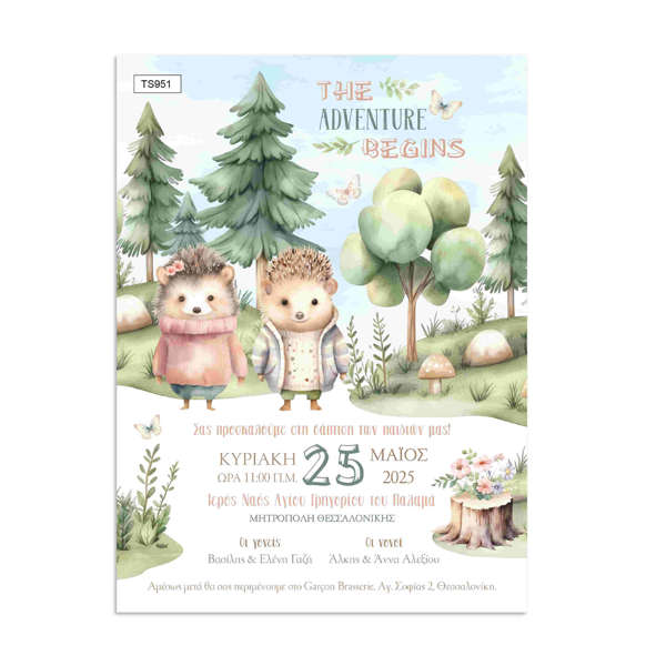 Προσκλητήρια Βάπτισης Δίδυμα | Twin Σκαντζοχοιράκια